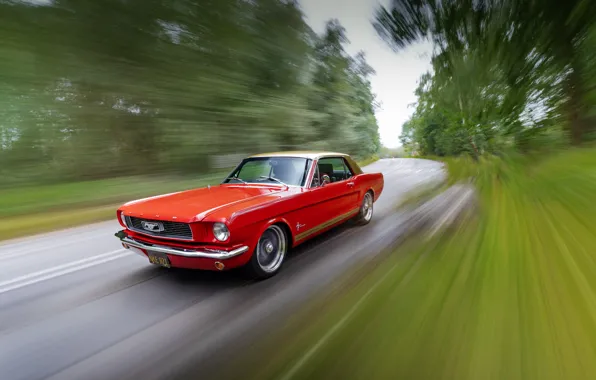 Картинка Mustang, Ford, drive, 1965 Ford Mustang Coupe, Alan Mann Racing