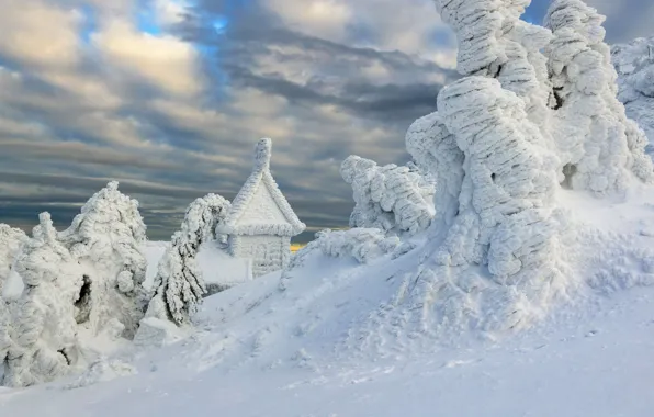 Зима, снег, Германия, Бавария, часовня Арбер