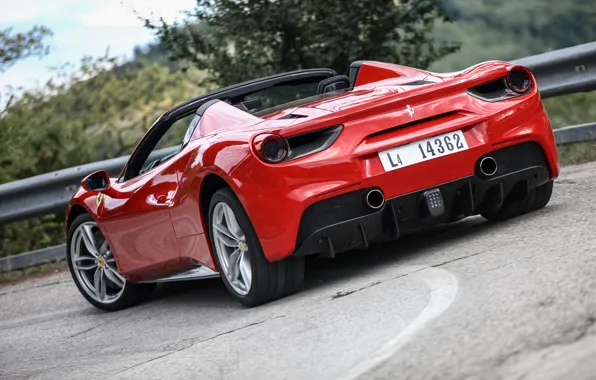 Ferrari, вид сзади, Spider, 488