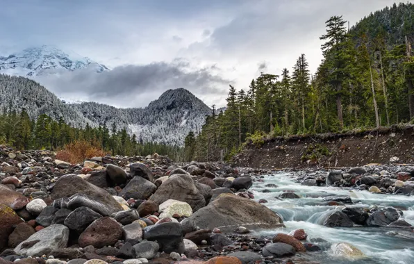 Washington, Longmire, Mount Ranier
