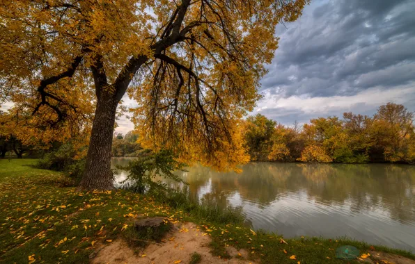 Картинка осень, лес, пейзаж, тучи, природа, водоём, берега, Александр Плеханов