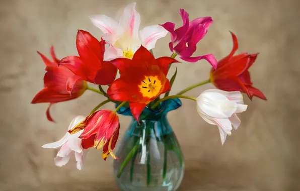 Букет, тюльпаны, ваза