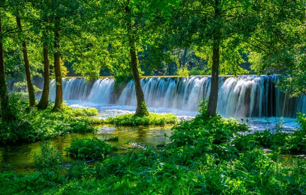 Картинка зелень, лес, водопад