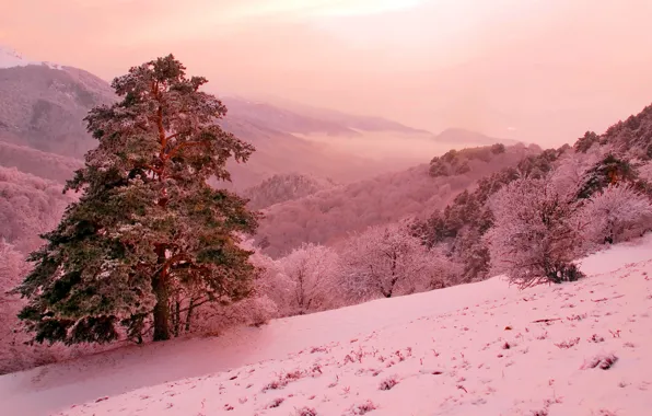 Картинка зима, горы, фантазия, розовая, склон, сосна