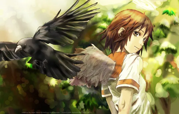 Картинка крылья, ворон, Haibane Renmei
