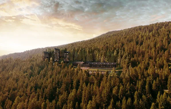 Лес, горы, Italy, Dolomites, Forestis