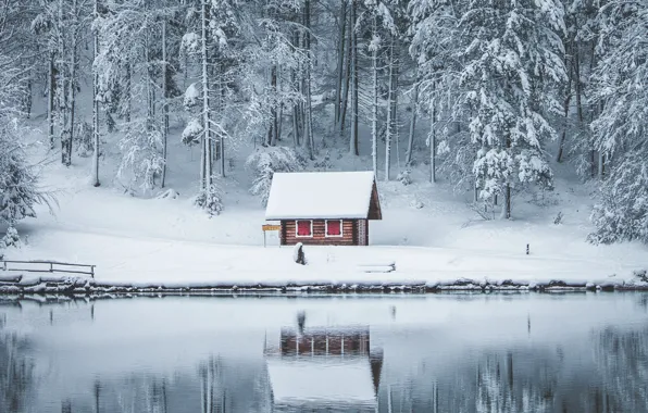 House, Frozen, Wood, Winter, Snow, Sea, Cold