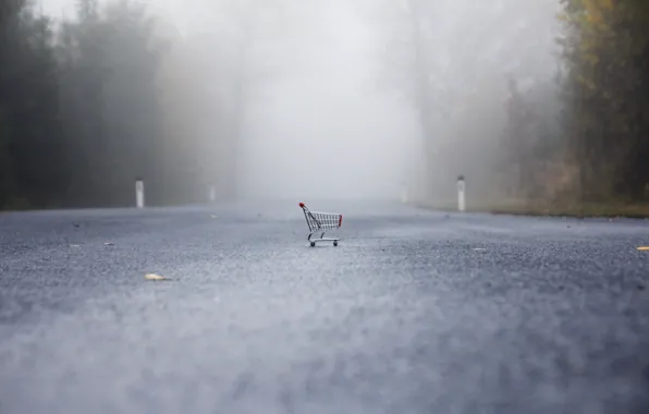 Картинка дорога, туман, коляска