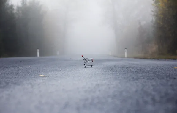 Дорога, туман, коляска