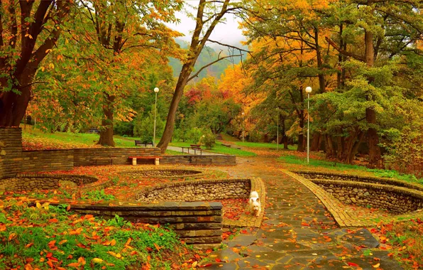 Картинка Осень, Деревья, Фонари, Собачка, Парк, Fall, Листва, Park