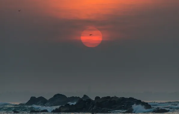 Картинка море, облака, пейзаж, закат, камни, скалы, Шри-Ланка