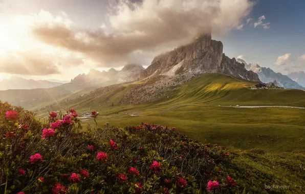 Небо, солнце, облака, цветы, горы, скалы, долина, Dolomites