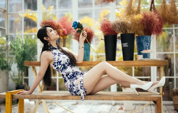 Картинка девушка, поза, азиатка