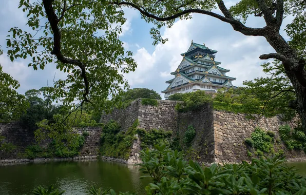 Картинка green, Japan, castle, Osaka Castle