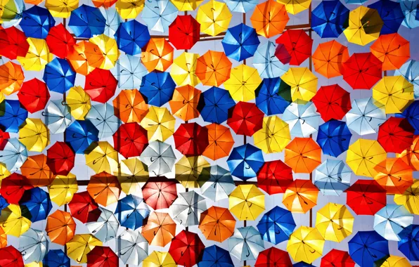 Зонтики, разноцветные, много