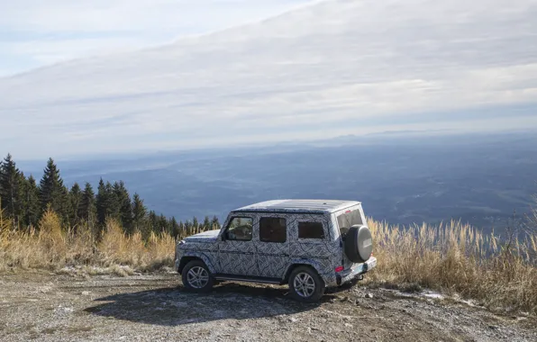 Небо, деревья, горы, растительность, Mercedes-Benz, склон, маскировка, плёнка