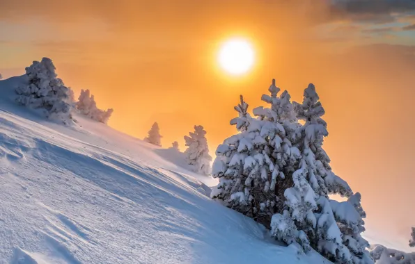 Зима, снег, природа