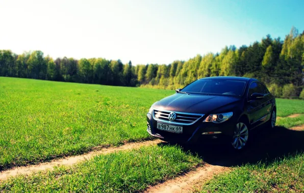 Поле, авто, лес, солнце, volkswagen, грунтовка, проселочная дорога, passat