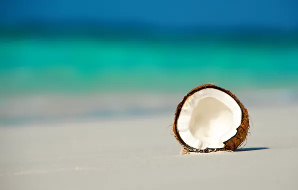 Картинка пляж, океан, кокос, орех, Мальдивы
