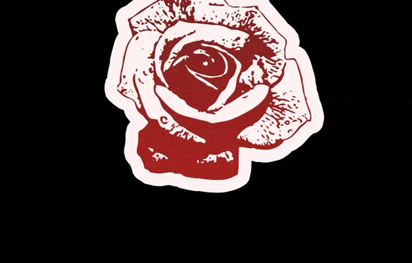 Обои, роза, красная роза, цветок (цветы), обои на рабочий стол, роза любви, Rose love, обои …
