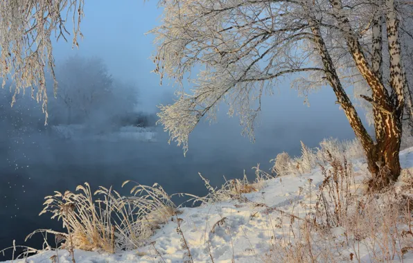 Картинка зима, снег, пейзаж, природа, туман, река, берёза