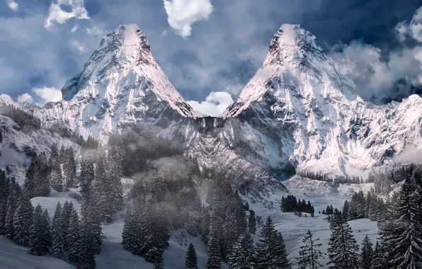 Картинка forest, winter, mountains, mountain, snow, highland, alpine
