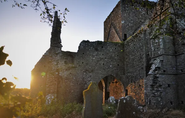 Небо, солнце, надгробия, руины, Ирландия, Ireland, готическая архитектура, Hore Abbey