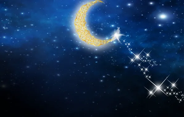 Sky, night, sparkle, starry