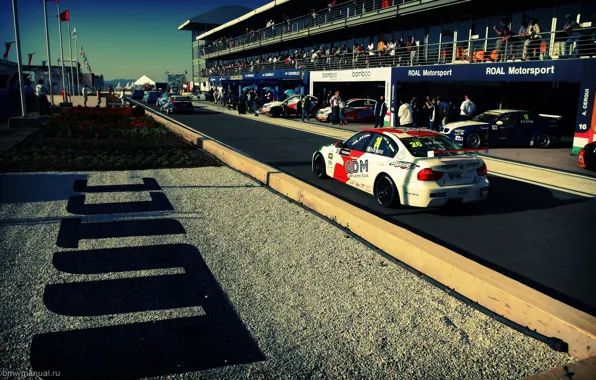 Фон, обои, трасса, BMW, гонки, автомобиль, WTCC, Sonoma