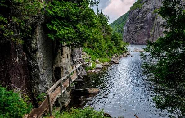 Картинка Нью-Йорк, USA, США, New York, Avalanche Lake, Trail, Трейл, Озеро Эвеланш