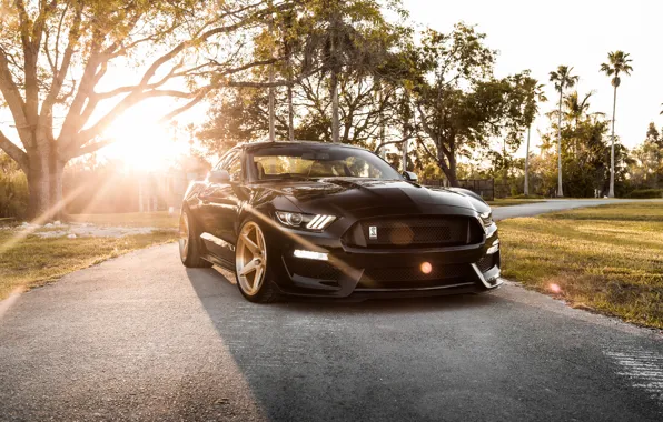 Картинка Mustang, Ford, Shelby, GT350, Ford Mustang Shelby GT350