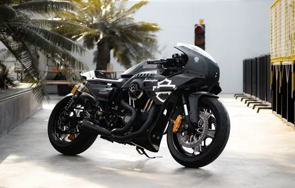 Harley Davidson, harley davidson, harleay-davidson, sportster