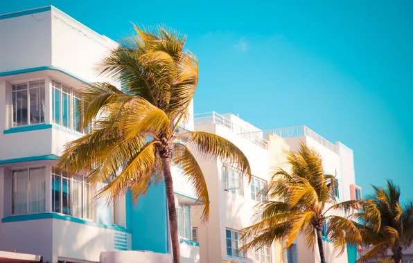 Картинка небо, пальма, пальмы, отдых, здание, отель