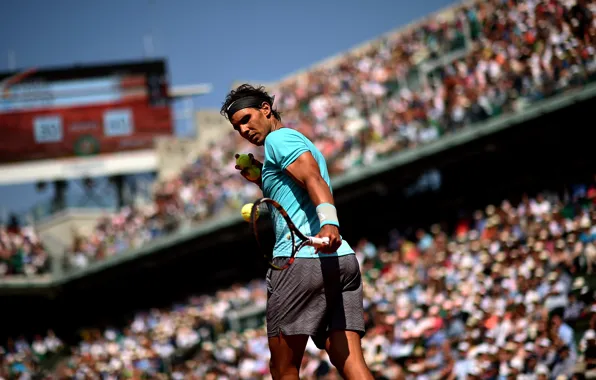 Картинка Рафаэль Надаль, первая ракетка мира, Rafael Nadal Parera, испанский теннисист