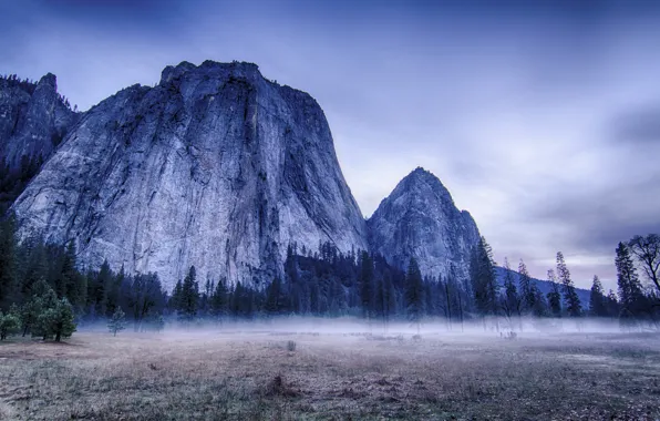 Картинка деревья, пейзаж, горы, природа, туман, USA, США, Йосемити