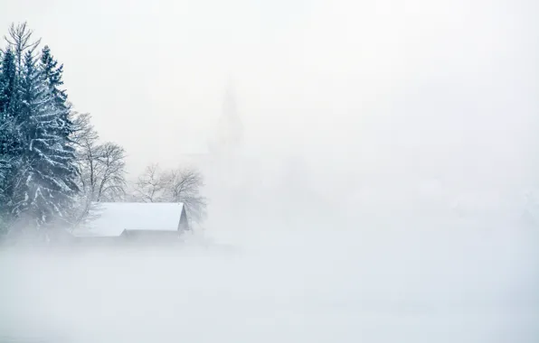Зима, снег, туман