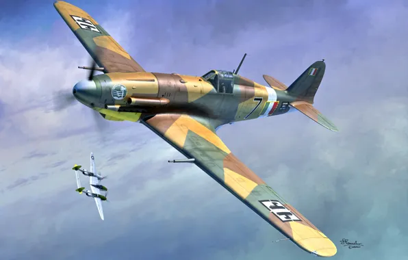 Истребитель, Италия, Fiat G.55, Поршневой самолет, Боевоей самолёт