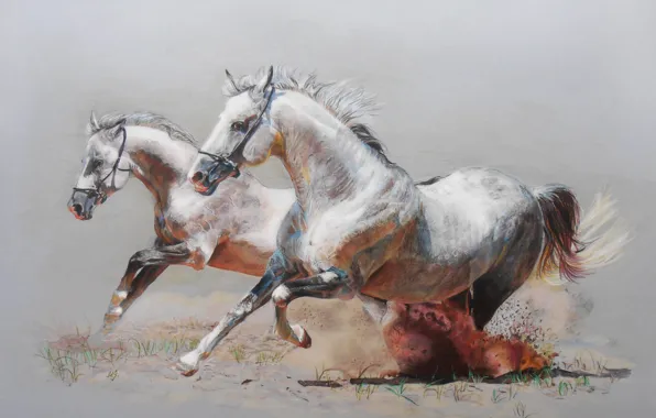 Картинка рисунок, кони, пыль, лошади, бег, пара