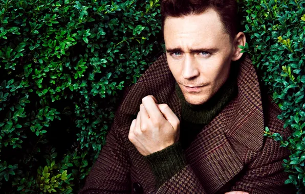 Картинка зелень, актер, мужчина, пальто, кусты, Tom Hiddleston, Том Хиддлстон
