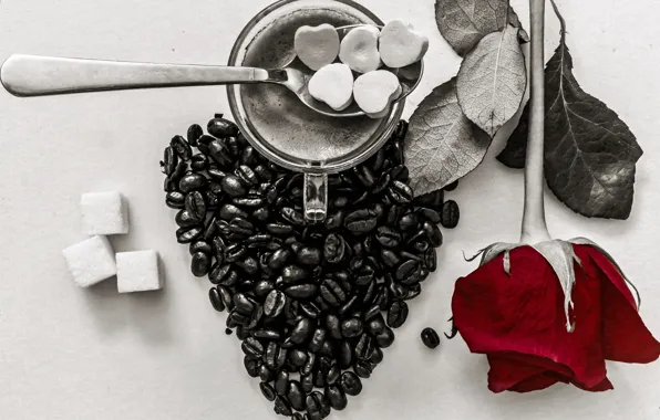 Картинка сердце, роза, кофе, зерна, чашка, сахар, натюрморт, День Святого Валентина