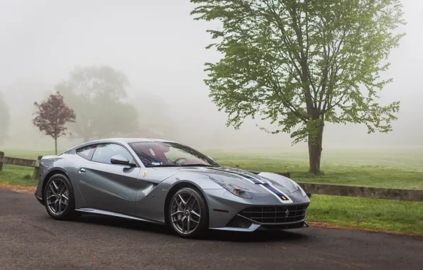 Картинка Ferrari, Berlinetta, F12, Fog