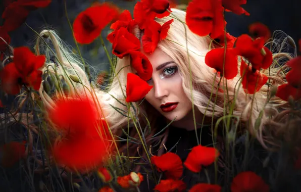 Взгляд, девушка, цветы, природа, маки, макияж, боке, Melanie Dietze