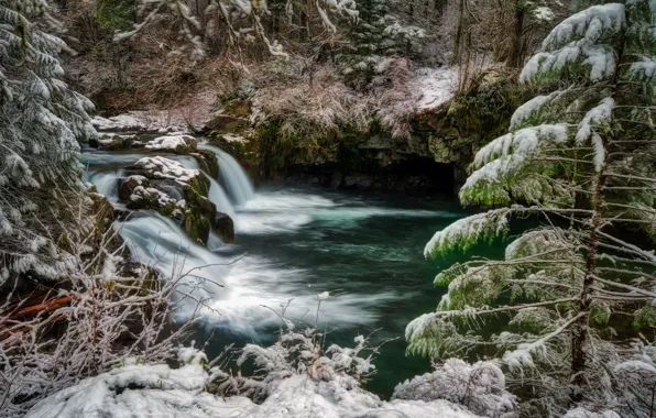 Зима, иней, лес, снег, природа, река