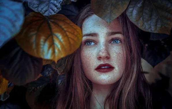 Листья, девушка, Ashley