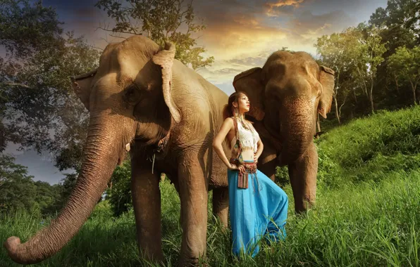 Картинка девушка, азиатка, слоны