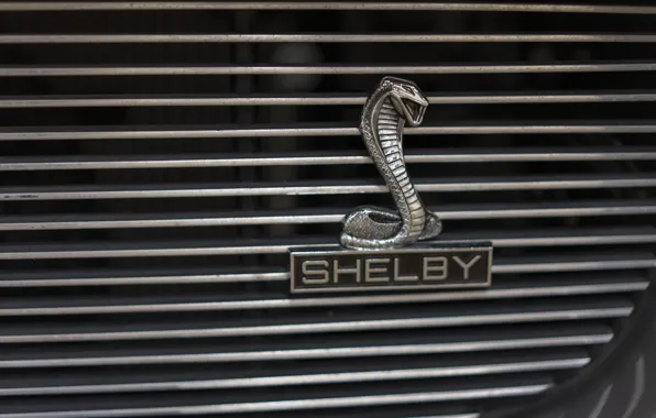Car, ford, shelby, muscle