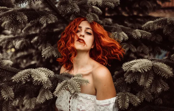Рыжеволосая, ёлочки, иголочки, Holly Rose Stones