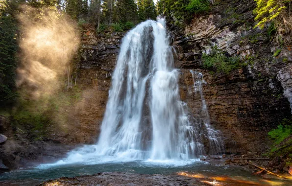 Лес, солнце, деревья, скала, камни, водопад, США, Glacier National Park