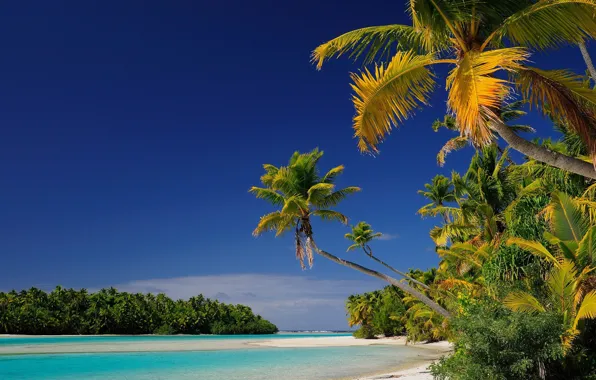 Пляж, острова, тропики, пальмы, лагуна, Океания, Cook Islands, Aitutaki atoll