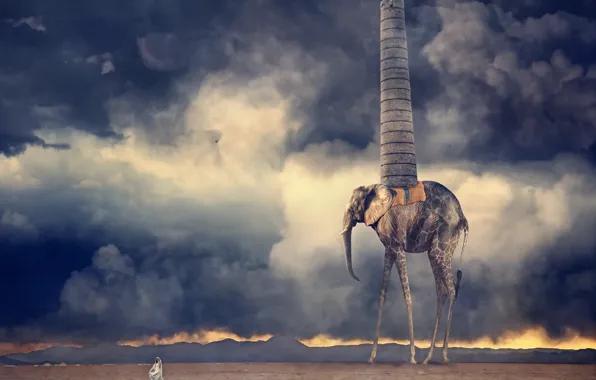 Картинка пустыня, труба, жирафослон